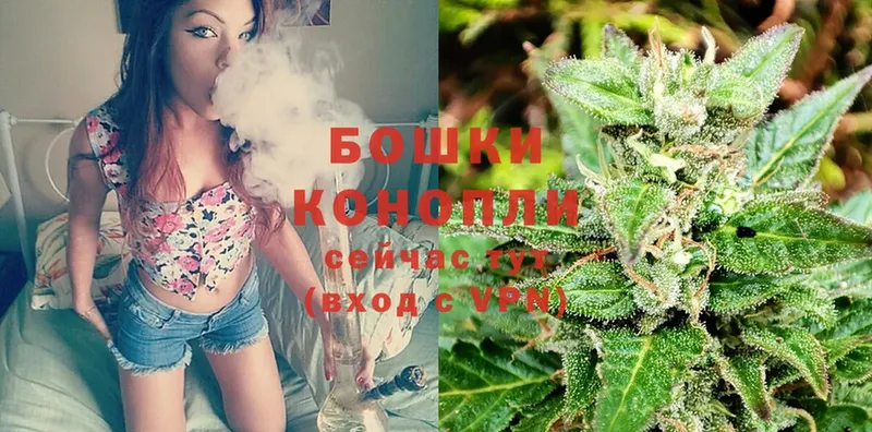 цены наркотик  Избербаш  Бошки марихуана SATIVA & INDICA 